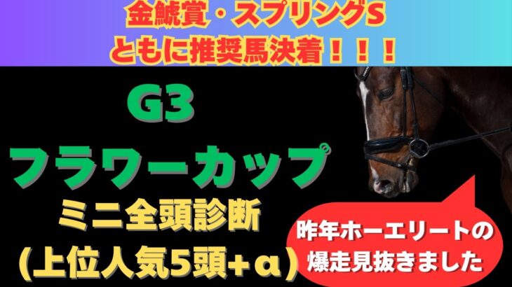 【フラワーカップ2025】注目馬紹介！荒れる予感満載の牝馬限定世代重賞で狙いたいのはこの馬だ！