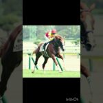 【高松宮記念2025】軸馬予想 #高松宮記念予想 #競馬予想 #中京競馬 #G1予想