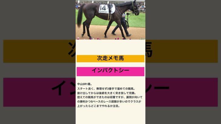 どっかんインパクト！インパクトシー！#2025 #競馬#競馬予想#スプリングS#金鯱賞