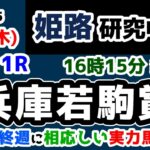 【姫路競馬研究中😏】無敗馬登場😲 姫路最終週に相応しい実力馬はどっちだ🔥【2025.3.6 姫路11R 兵庫若駒賞】