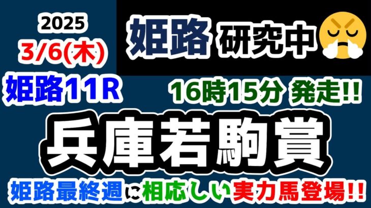 【姫路競馬研究中😏】無敗馬登場😲 姫路最終週に相応しい実力馬はどっちだ🔥【2025.3.6 姫路11R 兵庫若駒賞】