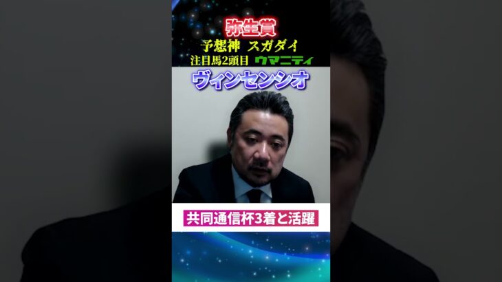 【弥生賞2025】予想神スガダイの注目馬2頭目「ヴィンセンシオ」#弥生賞2025  #弥生賞 #競馬予想