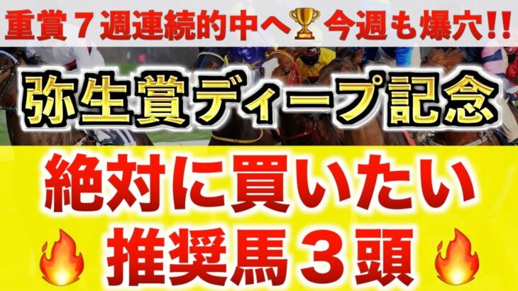 【弥生賞ディープ記念2025】ナグルファル過去最高のデキ？プロが全頭診断から導く絶好の3頭！