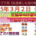 2025年3月2日　日曜日競馬予想＃競馬＃平場予想＃中央競馬＃JRA＃競馬予想＃平場予想＃重賞予想＃中山記念＃チューリップ賞