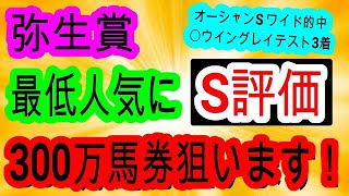 【競馬予想】弥生賞2025　8週連続的中なるか！？　道悪なら激走する〇枠の差し馬で大万馬券狙います！！