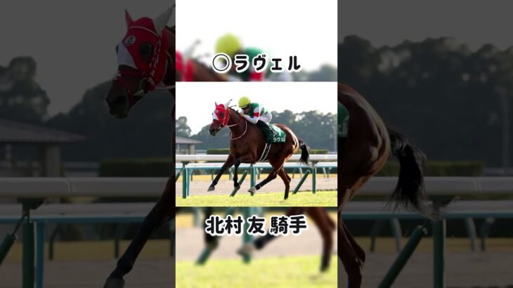 金鯱賞2025　AI完全予想 中京競馬場 #競馬 #競馬予想 #ai競馬予想 #中京競馬場 #金鯱賞