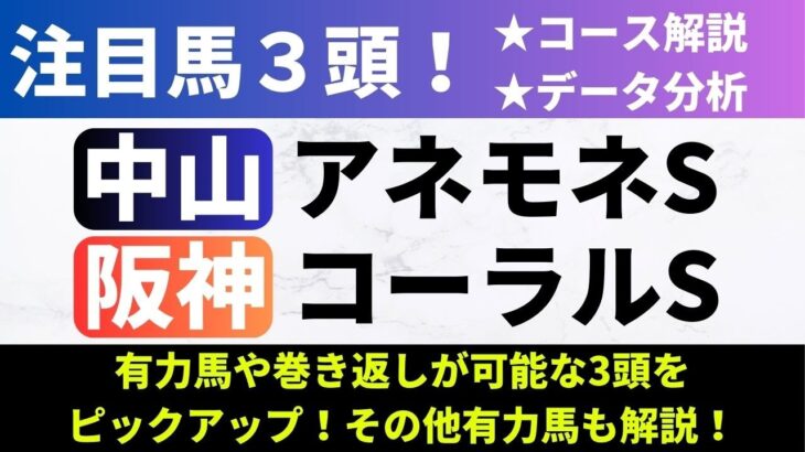 【2025アネモネS/コーラルS】競馬予想｜良馬場想定で予想したため重馬場になったときは他馬に注意！