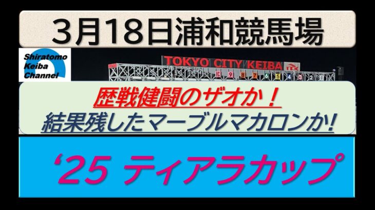 【競馬予想】’25 ティアラカップ～２０２５年３月１８日 浦和競馬場 ：３－５３