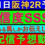 3月1日 阪神2R 3歳未勝利 D1200m 予想【生配信予想/絶対この条件合うはず/阪神2レース】