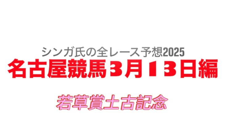 3月13日名古屋競馬【全レース予想】2025若草賞土古記念