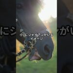 3月13日の大井6R推奨馬 #競馬 #競馬予想