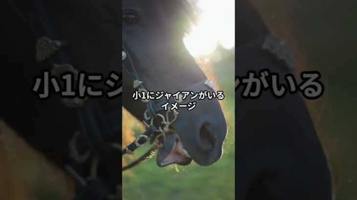 3月13日の大井6R推奨馬 #競馬 #競馬予想