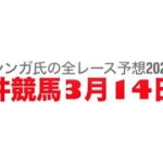 3月14日大井競馬【全レース予想】2025ブリリアントカップトライアル