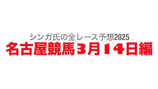 3月14日名古屋競馬【全レース予想】2025豊山特別