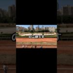 3月14日の大井6R推奨馬 #競馬 #競馬予想