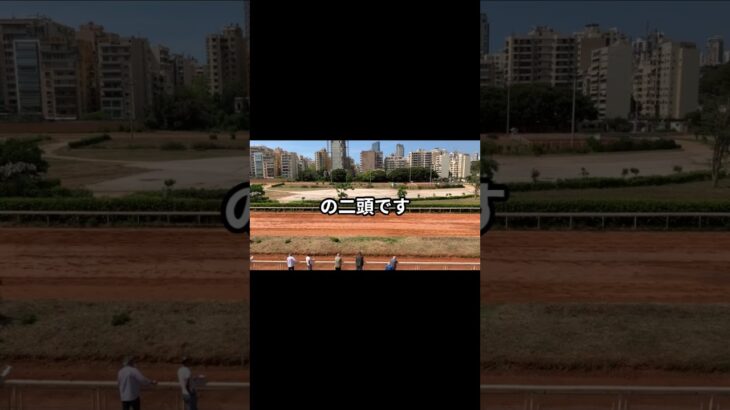 3月14日の大井6R推奨馬 #競馬 #競馬予想