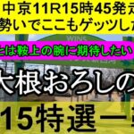 【競馬予想】3月15日の特選一鞍【大根おろし】