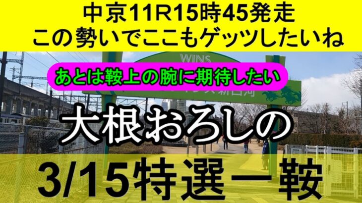 【競馬予想】3月15日の特選一鞍【大根おろし】