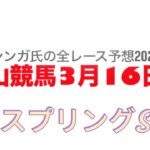 3月16日中山競馬【全レース予想】2025スプリングS