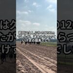 3月27日の大井8R推奨馬 #競馬 #競馬予想