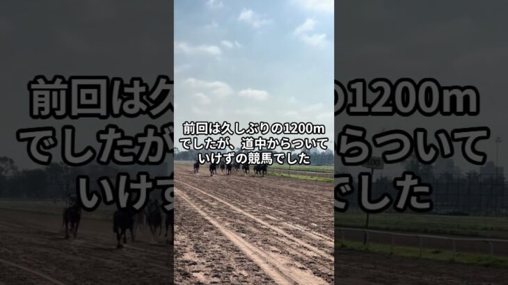 3月27日の大井8R推奨馬 #競馬 #競馬予想