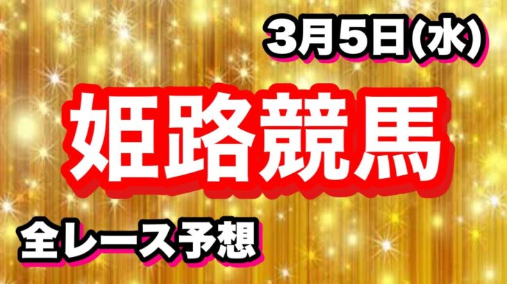 3月5日(水) 姫路競馬全レース予想