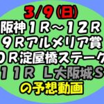 3/9阪神競馬の1R～12Rの予想動画