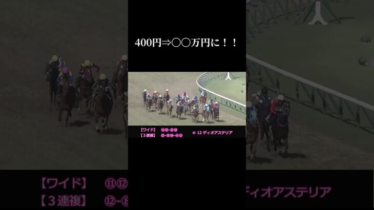 400円→〇〇万円に！#競馬 #競馬予想 #ウラディミール