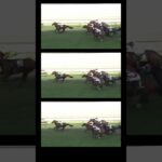 高松宮記念注目馬5選‼️#高松宮記念 #競馬 #国民 #競馬予想