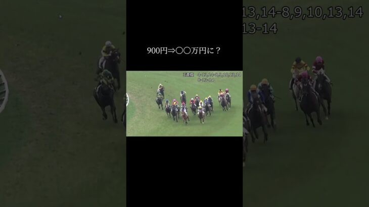 900円→〇〇万円に？？#競馬 #競馬予想