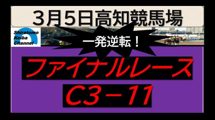 【競馬予想】ファイナルレースC３ー１１！～２０２５年３月５日 高知競馬場 ：３－１４