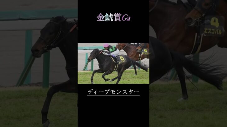 金鯱賞G2予想　　　　　　　　#競馬予想 #競馬#金鯱賞 #YOASOBIアンデット