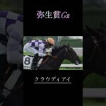 弥生賞G2予想　　　　　　　　#競馬 #競馬予想 #弥生賞 #apt