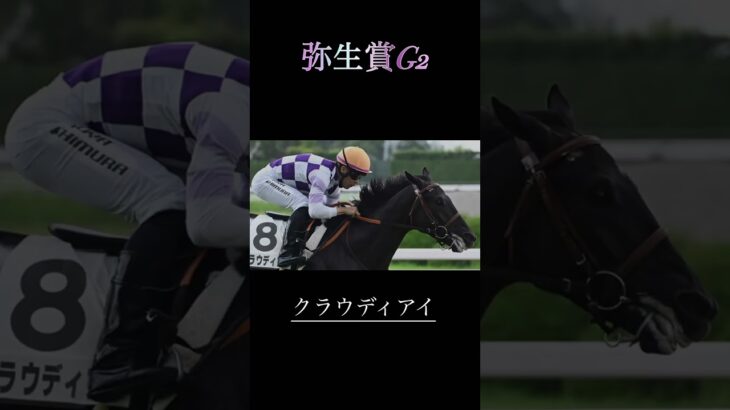 弥生賞G2予想　　　　　　　　#競馬 #競馬予想 #弥生賞 #apt