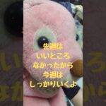 GIウィーク、土曜日からフルスイング！？（にゃん56競馬）#競馬予想