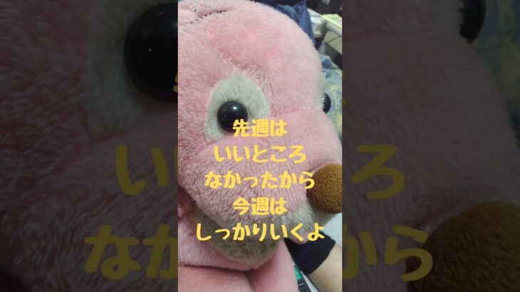 GIウィーク、土曜日からフルスイング！？（にゃん56競馬）#競馬予想