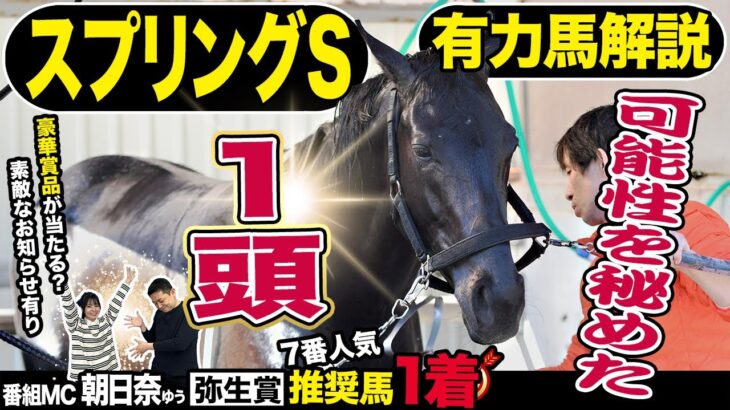 《東スポ競馬ニュース》【スプリングＳ２０２５】番組MC朝日奈ゆうの勢いが止まらない！！先週推奨馬が７番人気で１着！！今週の推奨馬は可能性を秘めたあのウマ…有力馬を競馬記者が解説！