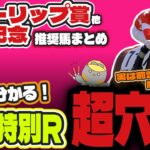 【中央競馬日曜特別R予想】波乱を演出するあの馬とは？ チューリップ賞他、過小評価されてる激走穴馬リスト【チューリップ賞/中山記念2025】