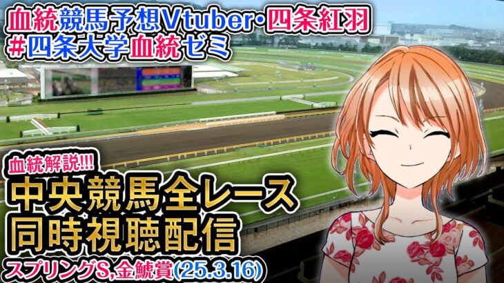 【競馬同時視聴配信】スプリングS,金鯱賞 2025 ほか全R対象 四条大学血統ゼミ