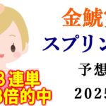 【競馬】金鯱賞 スプリングS 2025 予想 (阪神メインの米子城Sの予想はブログで)