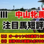 【中山牝馬S　注目馬短評】波乱含みのハンデ牝馬重賞！先週爆勝ちのギャンチュウの高評価馬は！？