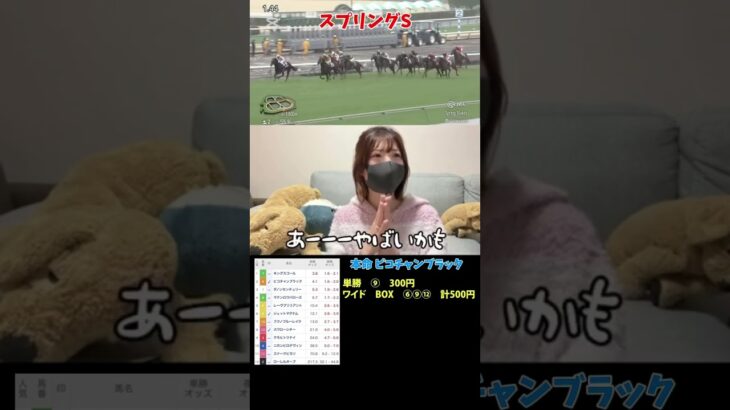 【競馬女子】スプリングS 的中！！#競馬 #競馬女子 #競馬予想 #スプリングs #g1 #g2 #ピコチャン#horse #的中 #金鯱賞 #中山競馬場