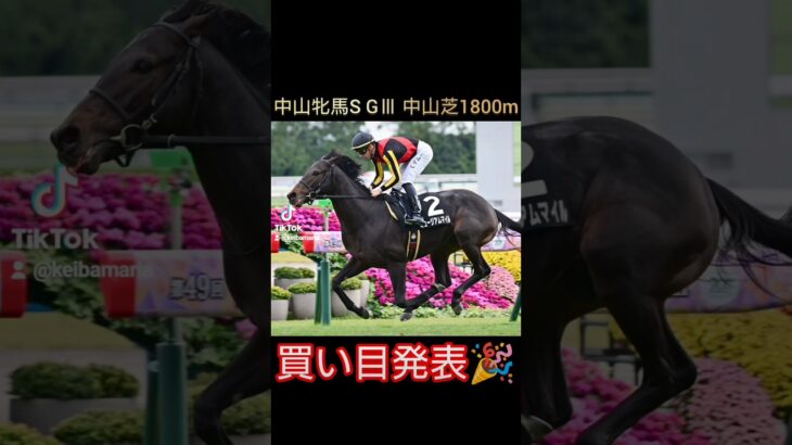 競馬好きのマリアの競馬予想[中山牝馬S2025] #競馬 #競馬予想 #中央競馬予想 #中山牝馬ステークス #馬 #horse #short #shorts #shortvideo