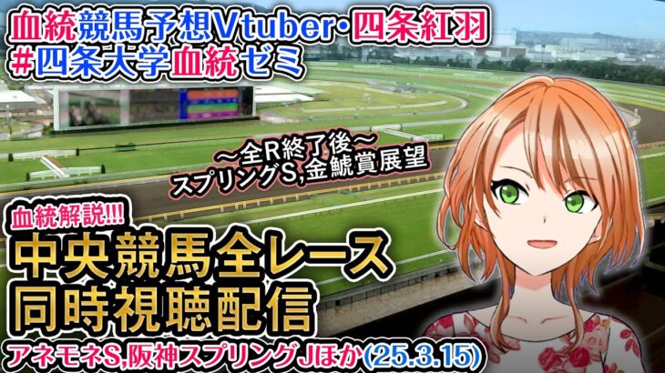 【競馬同時視聴配信】アネモネS,阪神スプリングJ ほか 2025 ほか全R対象 四条大学血統ゼミ