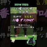 【競馬予想】土曜日平場レース_本命馬予想 #Shorts