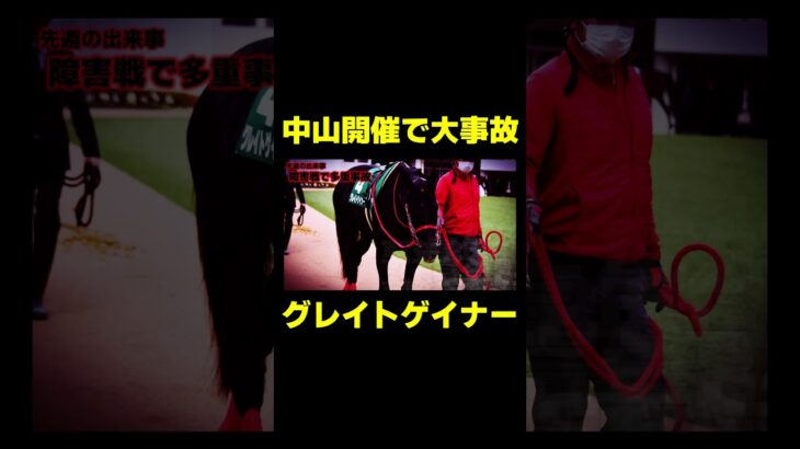 競走馬は人間にとって道具なのか？　#競馬 #競馬予想 #スプリングs #スプリングステークス #金鯱賞