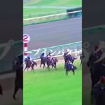 天国で楽しく走ってるといいな一#競馬 #競馬予想 #馬 #shorts