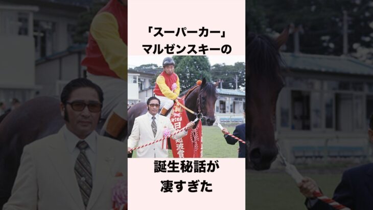 【 競馬 】マルゼンスキーの雑学② 【 競馬の雑学 】【 ウマ娘 】 #競馬 #雑学 #マルゼンスキー  #ウマ娘 #shorts