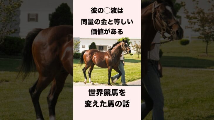 【 競馬 】ノーザンダンサーの雑学② 【 競馬の雑学 】【 ウマ娘 】 #競馬 #雑学 #ノーザンダンサー  #ウマ娘 #shorts