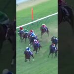 [朝日杯フューチュリティステークス結果)#競馬 #競馬予想 #馬 #shorts